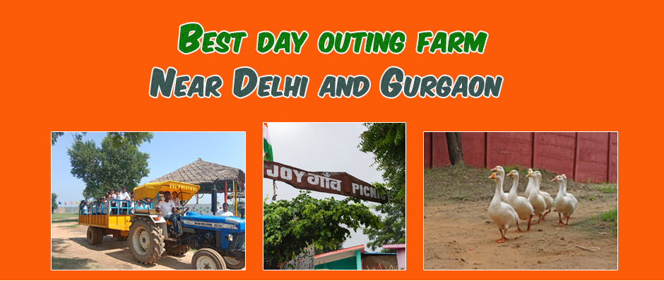 Best Day outing farm near Delhi