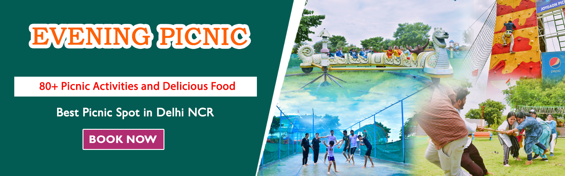 Day Picnic